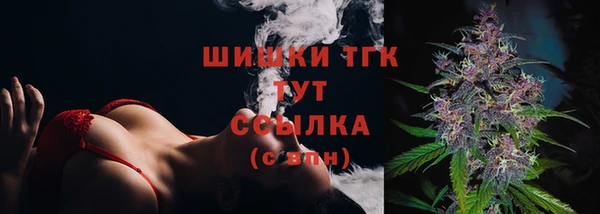 гашик Арсеньев