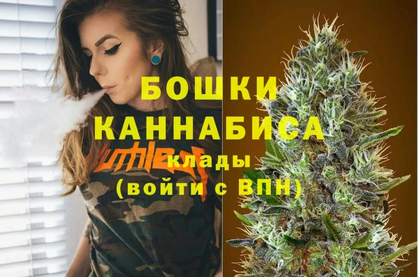 гашик Арсеньев
