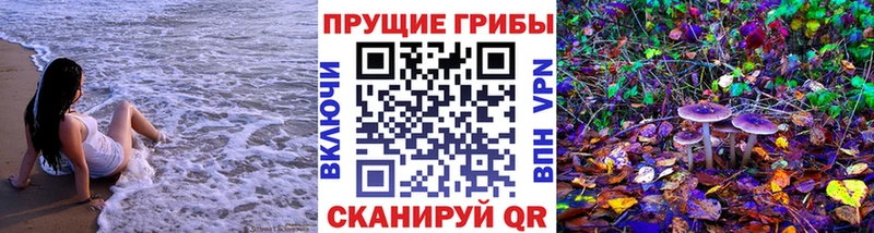 даркнет сайт  Новая Ладога  Галлюциногенные грибы Magic Shrooms 